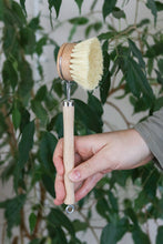 Load image into Gallery viewer, Long Handled Scrubber