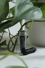 Load image into Gallery viewer, Zero Waste Floss