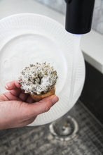 Load image into Gallery viewer, Natural Handheld Scrubbers